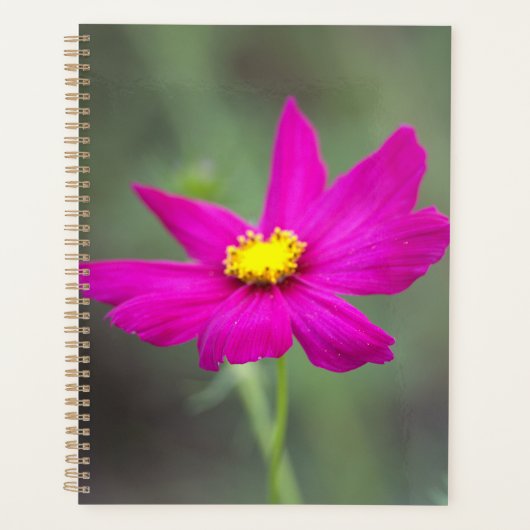 Pink Flower Planner プランナー手帳 (正面)