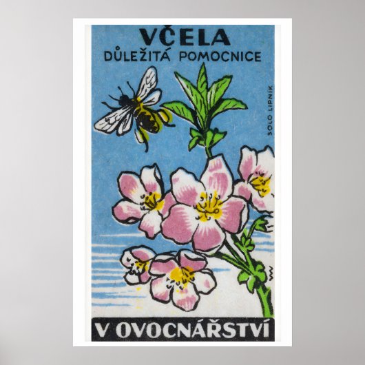 Pink Flower Yellow Bee - Matchbox Print - Czech ポスター (正面)