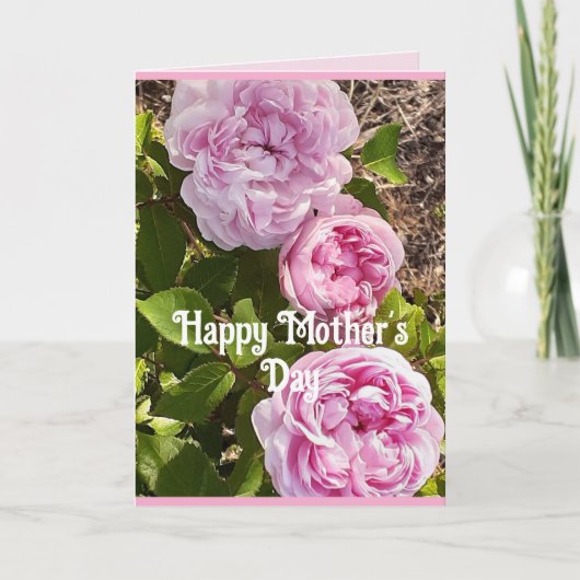 Pink Flowers Floral Rose Roses Mothers Day Card カード (正面)