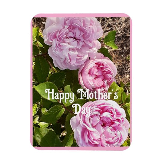 Pink Flowers Floral Rose Roses Mothers Day Card マグネット (縦)