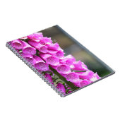 Pink Foxglove Flowers (my photography) ノートブック (右側)