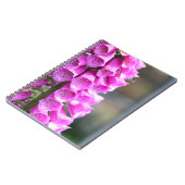 Pink Foxglove Flowers (my photography) ノートブック (左側)