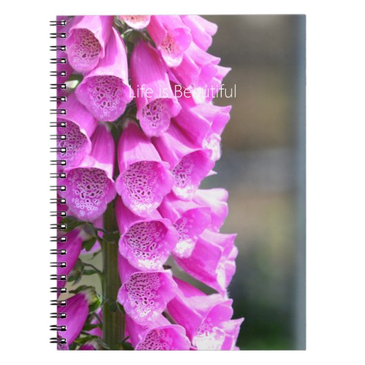 Pink Foxglove Flowers (my photography) ノートブック (正面)