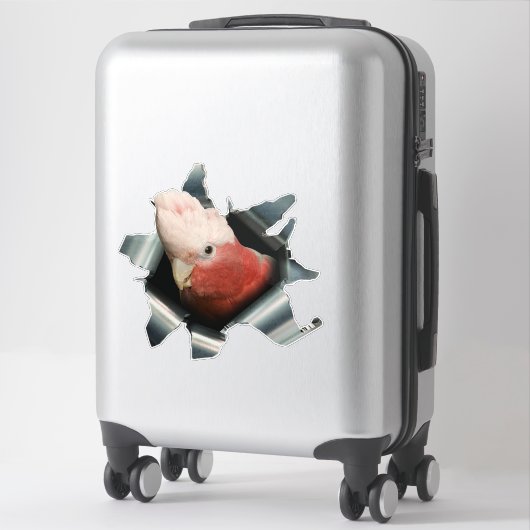 Pink Galah Parrot Sticker – Australian Bird Decal シール (スーツケース)
