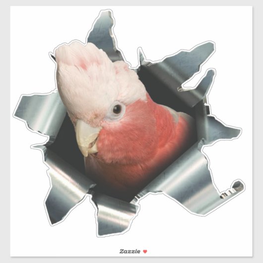 Pink Galah Parrot Sticker – Australian Bird Decal シール (シート)