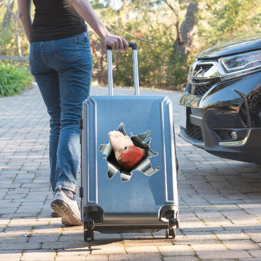 Pink Galah Parrot Sticker – Australian Bird Decal シール (スーツケースインサイチュ)