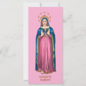 Pink Gaudete Sunday Standing BVM Advent (正面)