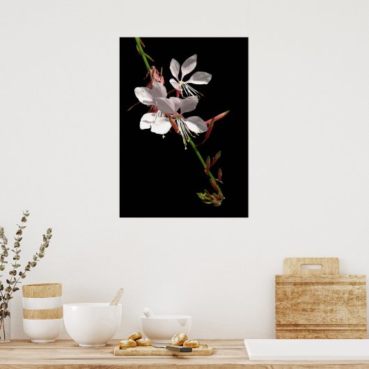 Pink Gaura Flower Poster ポスター (キッチン)