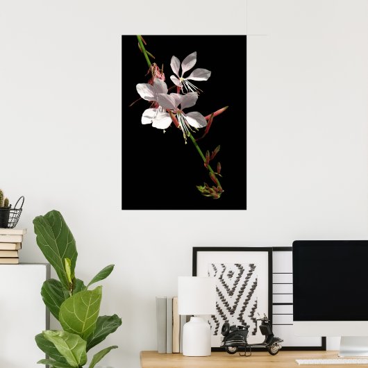 Pink Gaura Flower Poster ポスター (ホームオフィス)