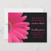 Pink Gerbera Black Photo Save the Date Card セーブザデート (裏面)