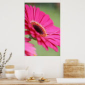 Pink Gerbera Daisy Poster Print ポスター (キッチン)