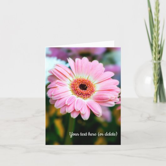 Pink Gerbera Folded Greeting Card サンキューカード (正面)