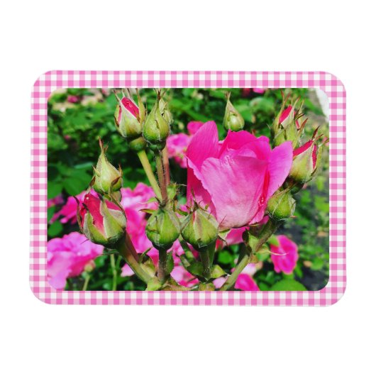 Pink Gingham Plaid Rose Garden Photo マグネット (横)