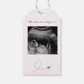 Pink Globe Passport Travel Baby Shower ギフトタグ (裏面)