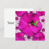 Pink Hibiscus and Hummingbird Invitation 招待状 (正面/裏面)
