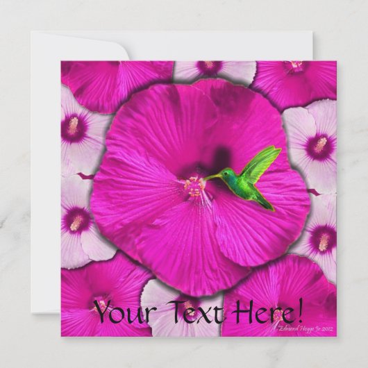 Pink Hibiscus and Hummingbird Invitation 招待状 (正面)