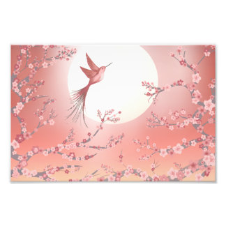 Pink hummingbird moonlight Calm art poster フォトプリント