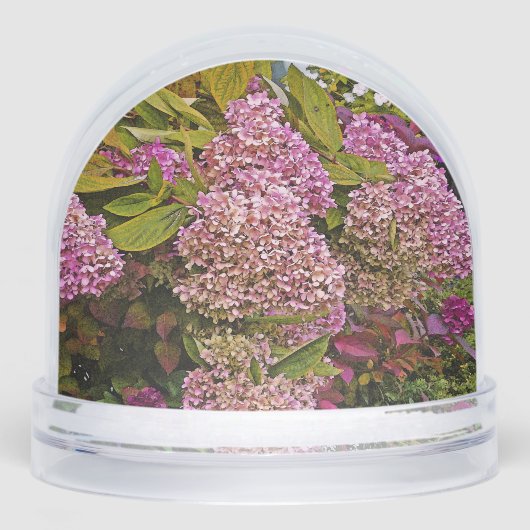 Pink Hydrangea (正面)