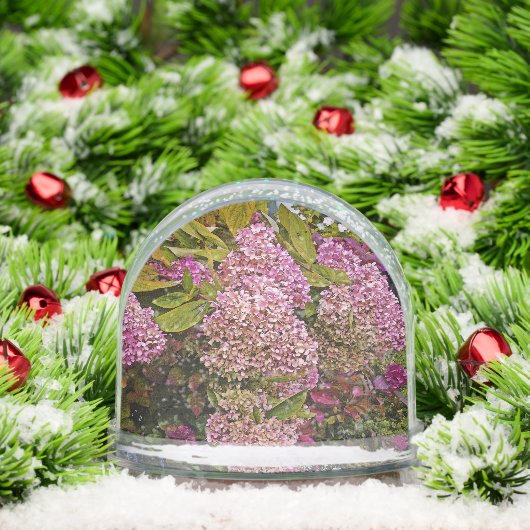 Pink Hydrangea (クリスマス)