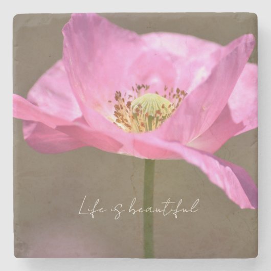 Pink Iceland Poppy Flower (photography by me) ストーンコースター (正面)