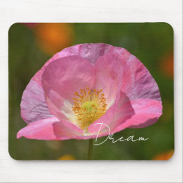 Pink Iceland Poppy (photography taken by me) マウスパッド