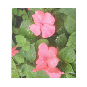 Pink Impatiens花メモ帳 ノートパッド