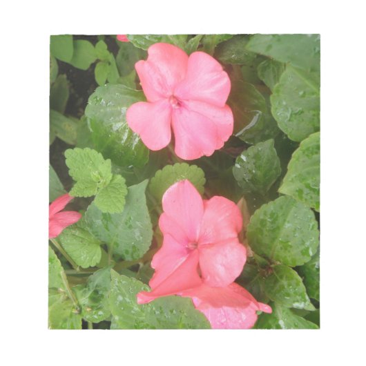 Pink Impatiens花メモ帳 ノートパッド (正面)