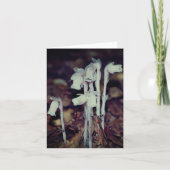 Pink Indian Pipe Wildflowers Nature Note カード (正面)
