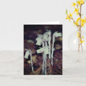 Pink Indian Pipe Wildflowers Nature Note カード (黄色い花)