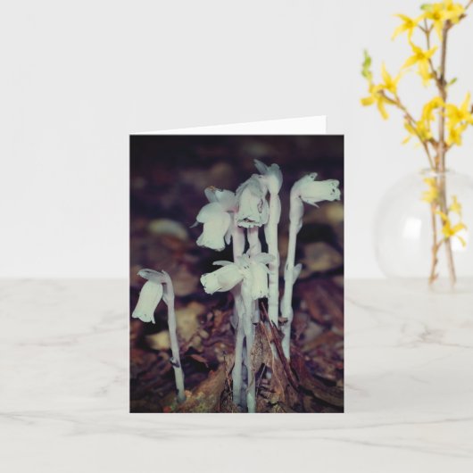Pink Indian Pipe Wildflowers Nature Note カード (黄色い花)