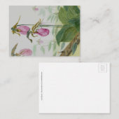 Pink Lady Slipper Flat Notecard  ノートカード (正面/裏面)