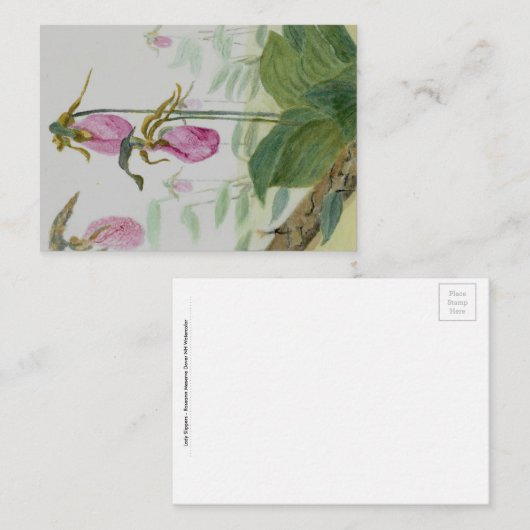 Pink Lady Slipper Flat Notecard  ノートカード (正面/裏面)