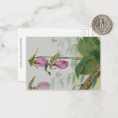 Pink Lady Slipper Flat Notecard  ノートカード (正面/裏面インサイチュ)