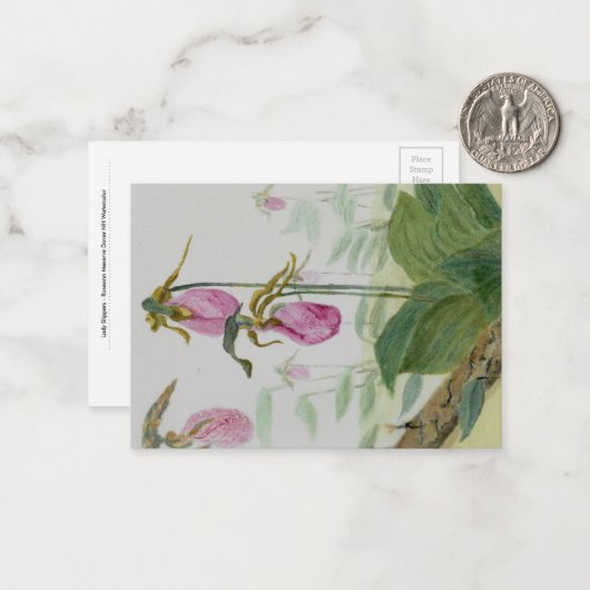 Pink Lady Slipper Flat Notecard  ノートカード (正面/裏面インサイチュ)