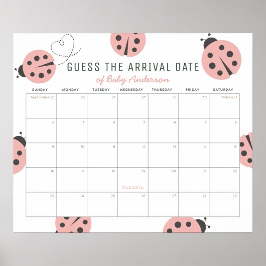 Pink Ladybugs Guess The Due Date Calendar ポスター (正面)