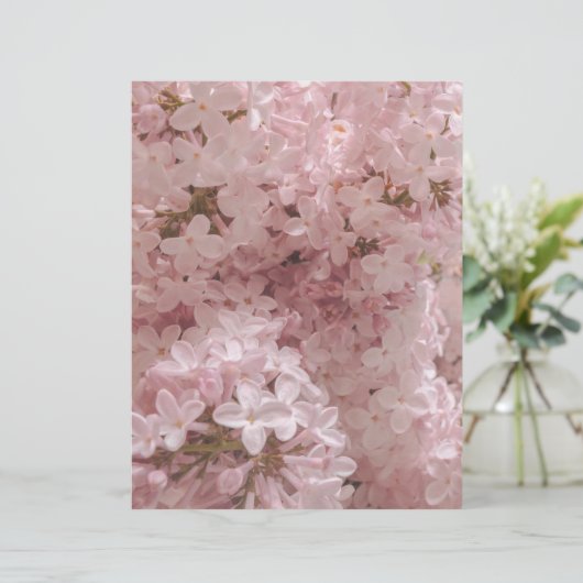 Pink lilac bloom close-up scrapbook paper (スタンド正面)