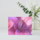 Pink Lilyマクロ写真はがき ポストカード (スタンド正面)