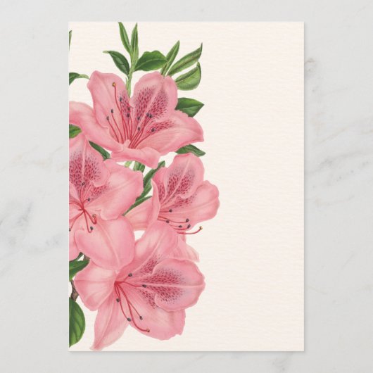 Pink Lily Floral Modern Wedding Save the Date 招待状 (裏面)
