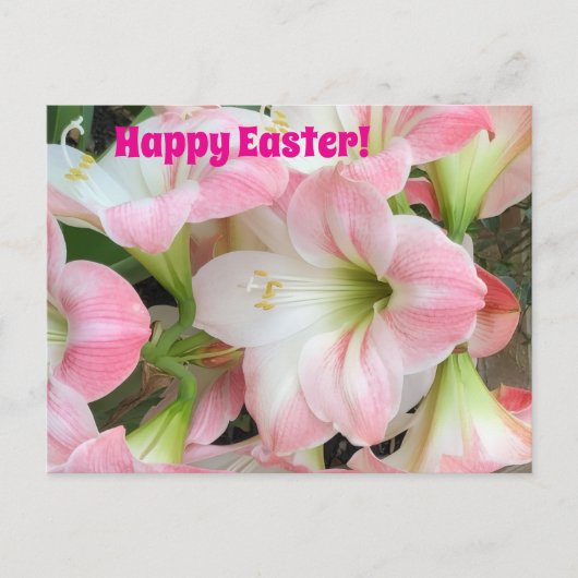 Pink Lily “Happy Easter” Postcard シーズンポストカード (正面)
