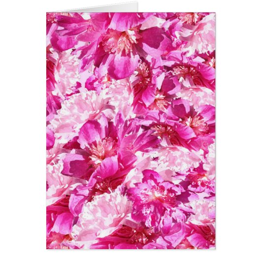 Pink & Magenta Peony Floral Pattern Blank (正面)