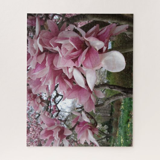 Pink Magnolia ジグソーパズル (縦)