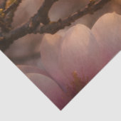 Pink Magnolia Blossom Decoupage 薄葉紙 (詳細)