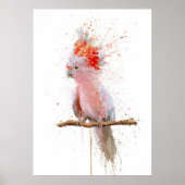 Pink Majesty ポスター (正面)