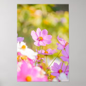 Pink Nectar Light ポスター (正面)