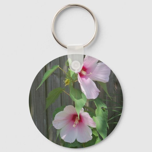 Pink on pink duo of hibiscus flowers キーホルダー (正面)
