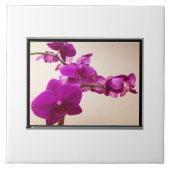 Pink orchid タイル (正面)