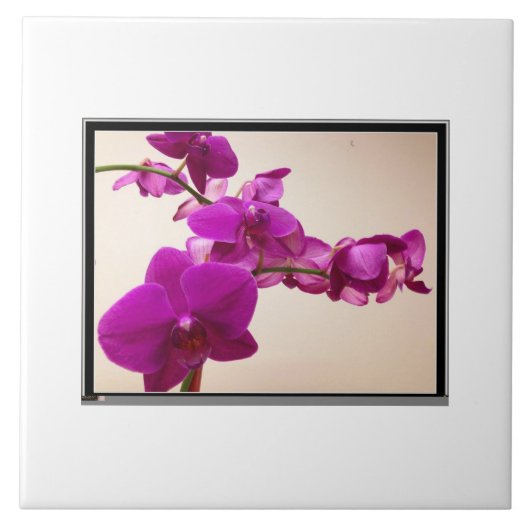 Pink orchid タイル (正面)