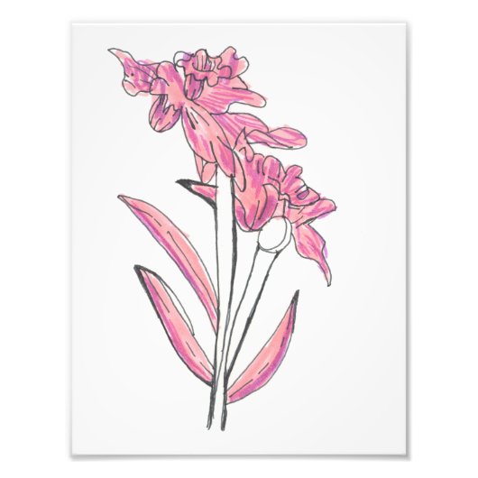 Pink Orchid Print フォトプリント (正面)