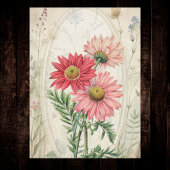 Pink Painted Daisy Pyrethrum Botanical Floral  薄葉紙