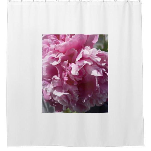Pink Peony Blossom Nature Photography Shower Curta シャワーカーテン (正面)